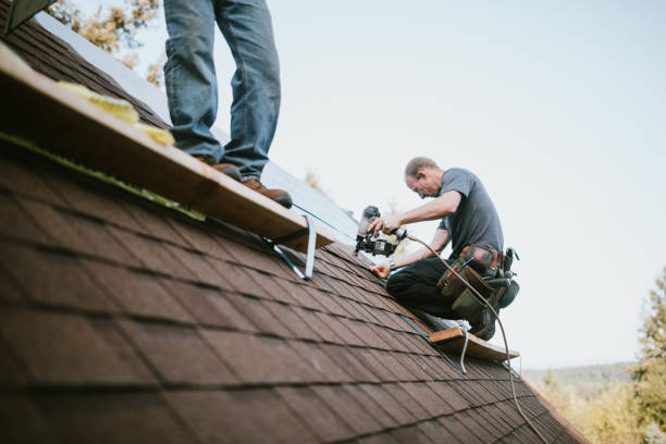 Quick and Trustworthy Emergency Roof Repair Services in Sandy Springs, SC